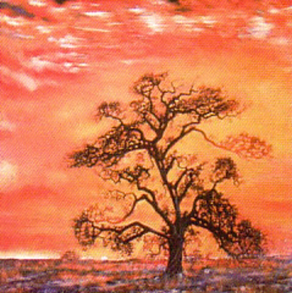Sunset Tree 10 Limited Edition Lithographs
